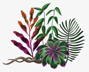 The Heart Of Whiteness Plant Illustration By Shyama - Ayahuasca Png, Transparent Png, Transparent PNG