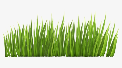 Grass Line Clipart - Grass Clipart, HD Png Download, Transparent PNG