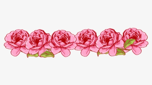 Thumb Image - Flower Border Pink Background Design, HD Png Download, Transparent PNG