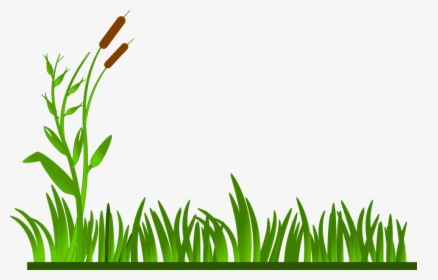 Grass, Lawn, Green, Cat O - Clipart Grass Border, HD Png Download, Transparent PNG