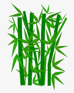 Line Art,grass Family,leaf - Bamboo Clipart, HD Png Download, Transparent PNG