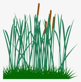 Tall Grass Clip - Tall Grass Clip Art, HD Png Download, Transparent PNG