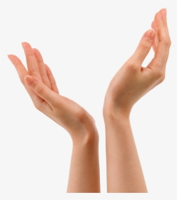 Wrist - Hands Png, Transparent Png, Transparent PNG
