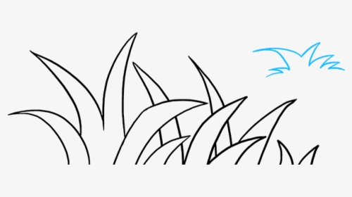 Vegetation Drawing Grassland - Easy Way To Draw Grass, HD Png Download, Transparent PNG