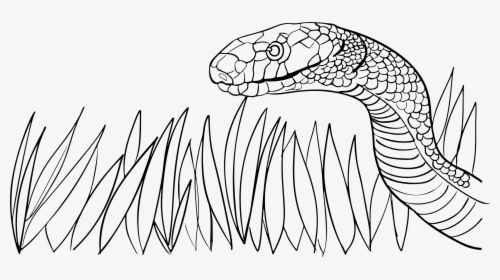 Snake In The Grass Clip Arts - Grass Snake Black And White, HD Png Download, Transparent PNG