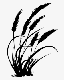 Agriculture In Black And White, HD Png Download, Transparent PNG