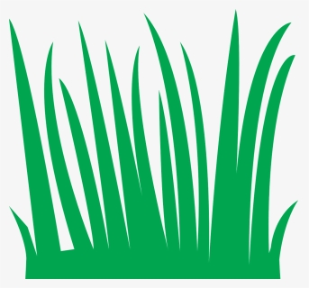 Grass, Green, Nature, Meadow, Field, Lawn - Gambar Animasi Rumput Hijau, HD Png Download, Transparent PNG