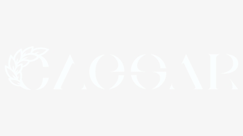 Circle, HD Png Download, Transparent PNG