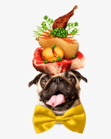 A Pug Dog Wearing A Large Yellow Bowtie, And Balancing - Pug Dog On His Head Fruits, HD Png Download, Transparent PNG
