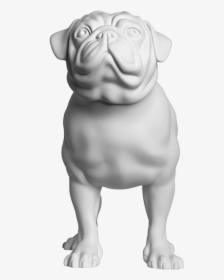 Pug Marty Position, HD Png Download, Transparent PNG