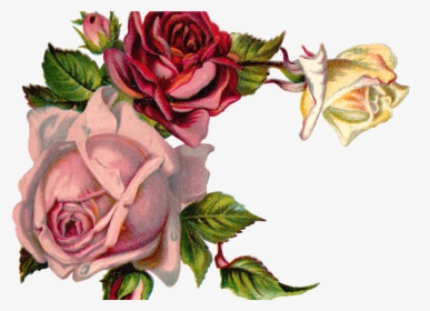 Free Digital Flower Pink Rose Corner Design - Vintage Flower Graphic Png, Transparent Png, Transparent PNG