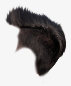 Hair Png - Feather, Transparent Png, Transparent PNG