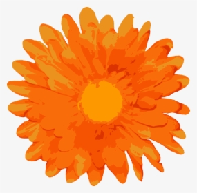 Random Free Flower Vectors Free Vector - Marigold Flowers Vector Png, Transparent Png, Transparent PNG