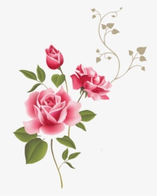 Transparent Rose Outline Png - Clip Art Borders Flowers Rose, Png Download, Transparent PNG