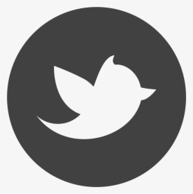 Twitter Png Logo Twitter Round Icon White Transparent Png Transparent Png Image Pngitem