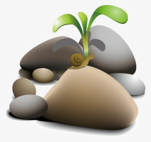 Pebble Clip Art Snail - Planta En Piedras, HD Png Download, Transparent PNG