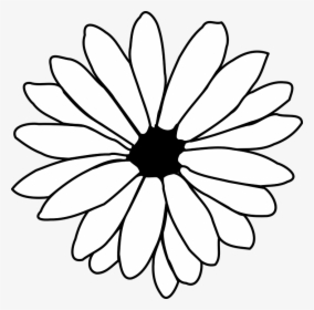 Daisy Flower Black And White Clipart, HD Png Download, Transparent PNG