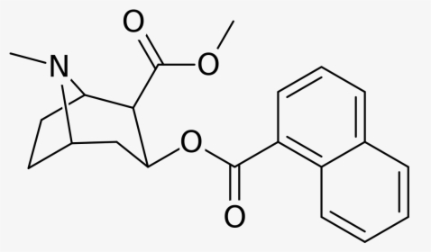 Nh2 Bdc , Png Download - Bis Hydroxyethyl Terephthalate, Transparent Png, Transparent PNG