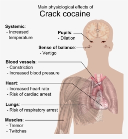 Crack Effects On Body, HD Png Download, Transparent PNG