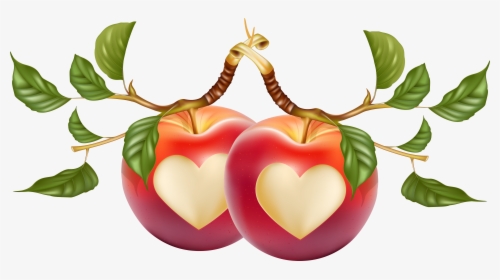 Transparent Fruits Clipart - Heart Shaped Apple Png, Png Download, Transparent PNG