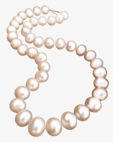 Pearl Necklace Jewellery Pearl Necklace - Free Transparent Png Pearl Necklace, Png Download, Transparent PNG