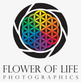 Flower Of Life Logos , Png Download - Flower Of Life Logos, Transparent Png, Transparent PNG