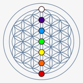 The Melodies Are Trivial, The Synthesizer Sounds Mostly - Flower Of Life Transparent, HD Png Download, Transparent PNG