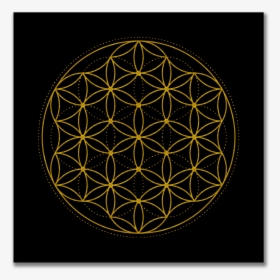 Flower Of Life Alamy, HD Png Download, Transparent PNG