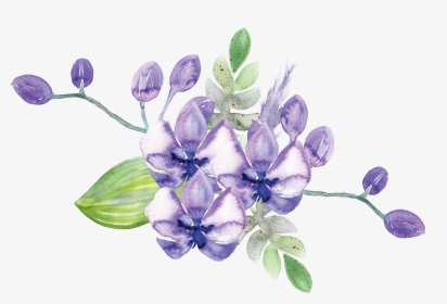 Idignity Seeds Of Hope Purple Flower - Gentiana, HD Png Download, Transparent PNG