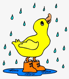 Duck In The Rain Clipart, HD Png Download, Transparent PNG
