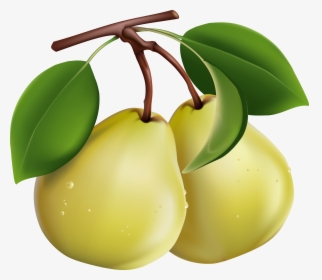 Pear - Pears Clipart Png, Transparent Png, Transparent PNG