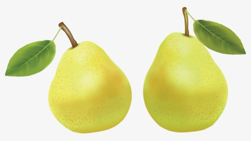 Pear Png Image - Груша Желтая Пнг, Transparent Png, Transparent PNG