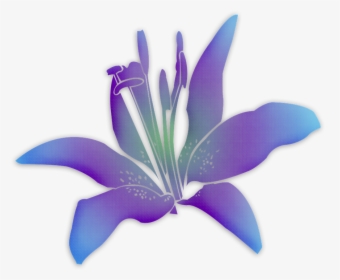 Flowers Flower Purple Flower Free Picture - Flower, HD Png Download, Transparent PNG