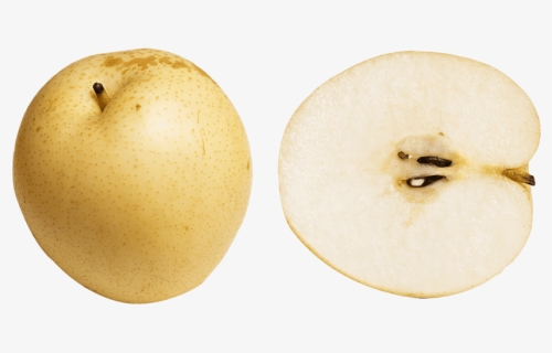 Asian Pear Png - Korean Pear Png, Transparent Png, Transparent PNG