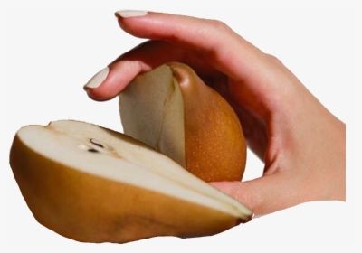 #pear And A #hand Png 🍐 ♡tags♡ - Brown Pngs Moodboard, Transparent Png, Transparent PNG