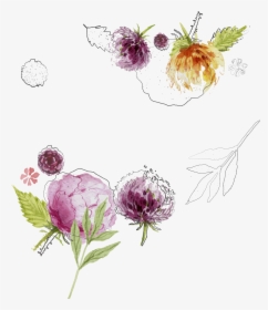 Transparent Flower Sketch Png - Spring Flowers Background Vector, Png Download, Transparent PNG