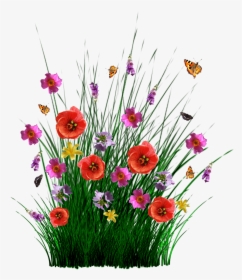 Transparent Spring Flower Png - Field Flowers Png, Png Download, Transparent PNG