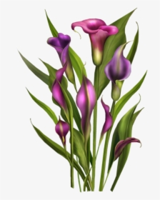Tubes Fleurs / Bouquets Spring Flowers, Calla Lily, - Purple Lily Png Transparent, Png Download, Transparent PNG