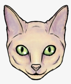 Cat S Face - Squitten, HD Png Download, Transparent PNG
