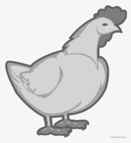 Prairie Falcon Clipart Ear - Transparent Chicken Clipart, HD Png Download, Transparent PNG