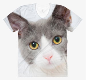 Transparent Cute Cat Png - Cat Face 1080p, Png Download, Transparent PNG