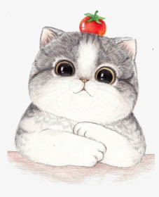 Painted Big Illustration Face Cartoon Cat Drawing Clipart - Video Quãng Đời Còn Lại Vương Nhị Lãng, HD Png Download, Transparent PNG