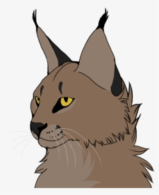 Kitten Wildcat Whiskers Caracal - Caracal Animation, HD Png Download, Transparent PNG