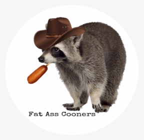 Raccoon Ass Png - Fat Ass Raccoon, Transparent Png, Transparent PNG