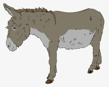 Donkey Clipart, HD Png Download, Transparent PNG