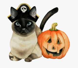 Halloween Siamese Cat, HD Png Download, Transparent PNG