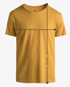 T Shirt Size Chart Png, Transparent Png, Transparent PNG
