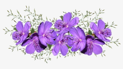 Purple Pink Flower Png, Transparent Png, Transparent PNG