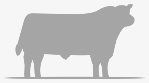Aberdeen Angus Society Logo, HD Png Download, Transparent PNG