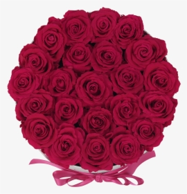 Orb Deluxe Hot Pink Roses   Class Lazyload Lazyload - Garden Roses, HD Png Download, Transparent PNG